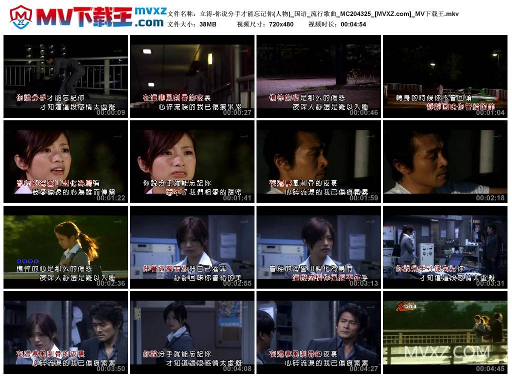 立涛-你说分手才能忘记你(人物)_国语_流行歌曲_MC204325